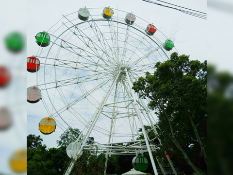 Amusement Park Ferris wheel Ride