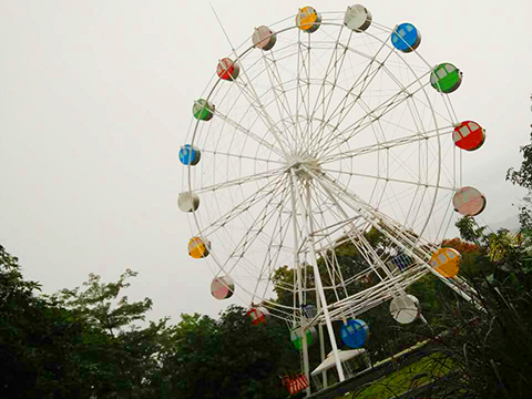 30m Ferris wheel Ride